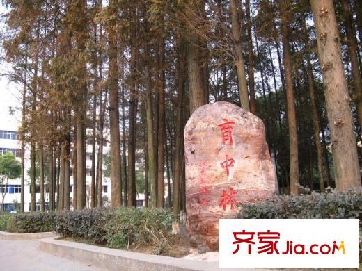 佳陽(yáng)國(guó)際配套圖周邊育中林