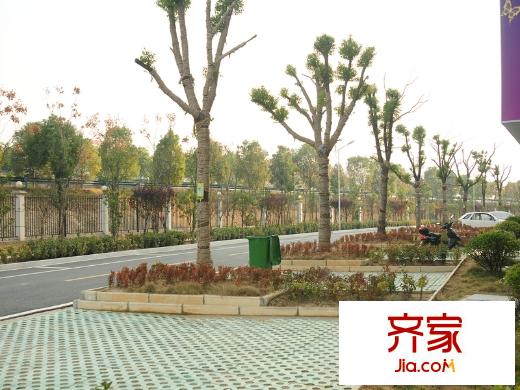 東方新天地7號(hào)樓東側(cè)景觀帶（20140427）