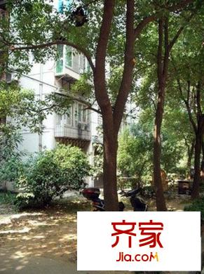 紫竹園外景圖   