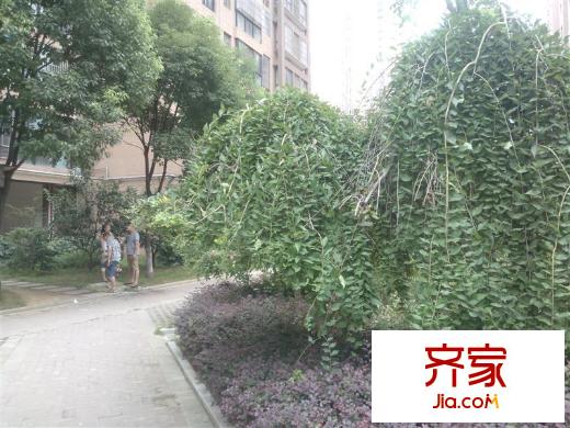 南湖名都外景圖
