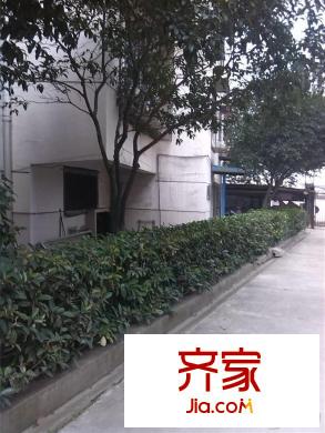 東方紅花園外景圖