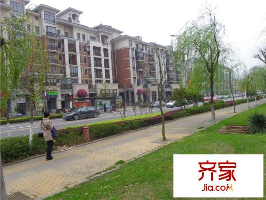 大華南湖公園世家外景圖門外沿街景（20140627）