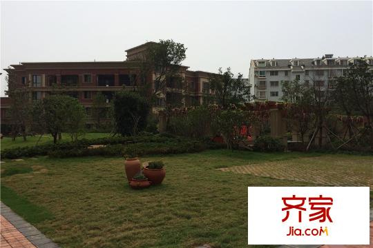 觀瀾太子湖小區(qū)內(nèi)草坪（2015.9.17）