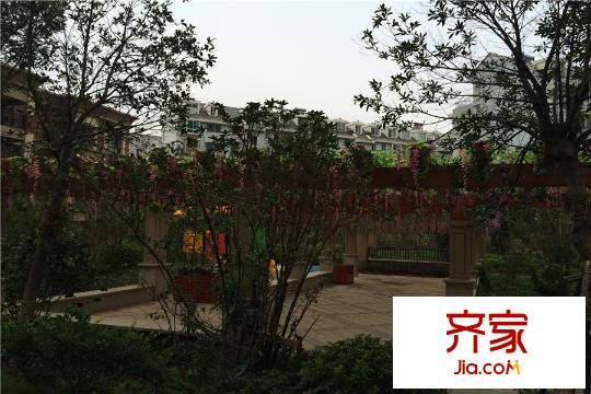 觀瀾太子湖小區(qū)綠化一角（2015.9.17）