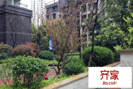 當(dāng)代東湖壹號(hào)綠化一角（20150327）