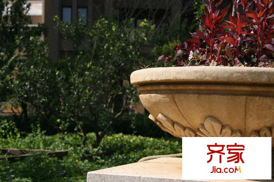 百瑞景中央生活區(qū)外景圖小區(qū)綠化實(shí)景（2012.03.12）