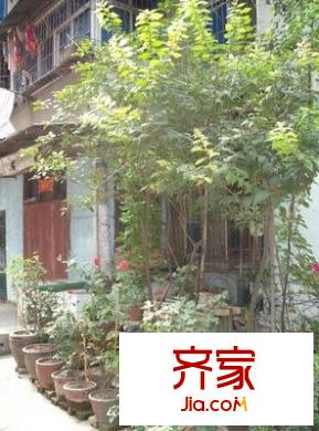 幸福里小區(qū)外景圖小區(qū)相關(guān)圖_2