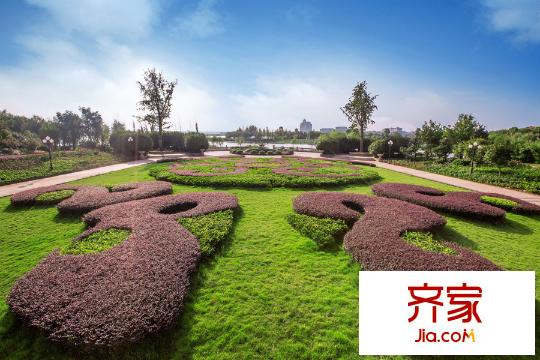 恒大世紀(jì)旅游城綠化（20151013）