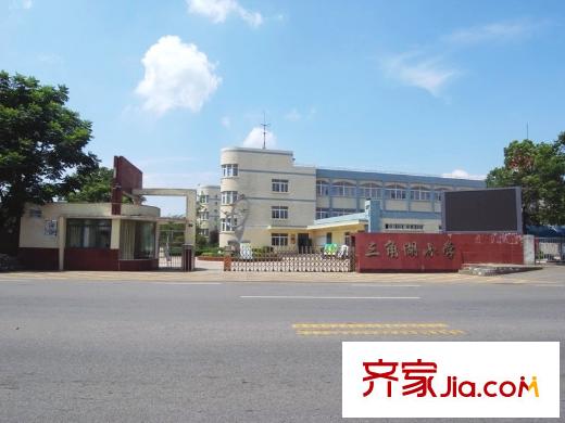 海濱城二期麗港新都周邊開發(fā)區(qū)三角湖小學(xué)