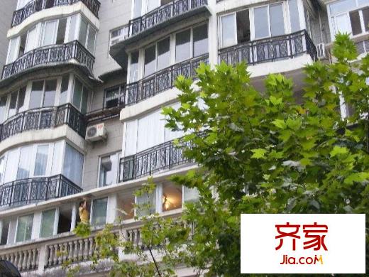 華美國(guó)際外景圖 