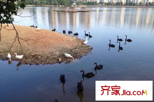 廣電蘭亭瓏府周邊動(dòng)物園
