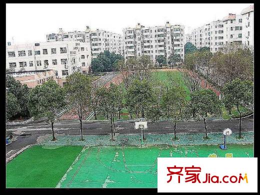 楓景國際公寓周邊神龍小學(xué)