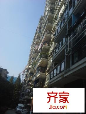 江岸紫荊花園外景圖