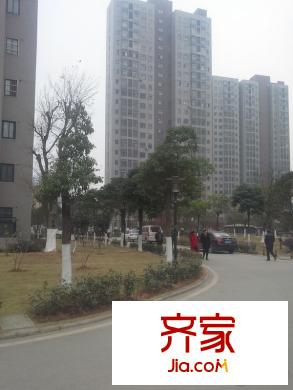 南湖新城（還建房）外景圖南湖新城 