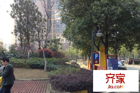 錦繡龍城八期鎏園小區(qū)綠化（20150325）