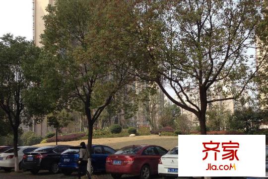 錦繡龍城八期鎏園小區(qū)草坪（20150325）
