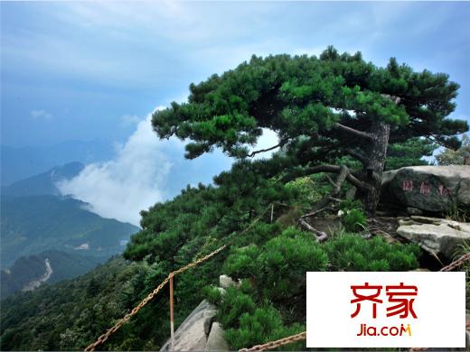 薄刀峰云端山莊（20140828）