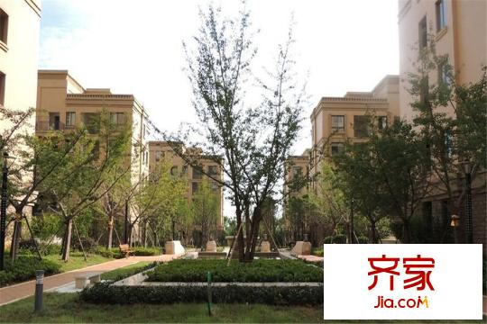觀瀾御苑二期觀瀾御平方米臺小區(qū)內(nèi)綠化（2015.3.20）