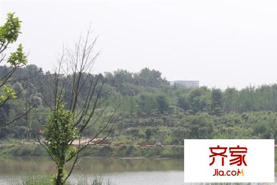 龍?jiān)窞懓缎^(qū)周邊濕地公園（20150331）