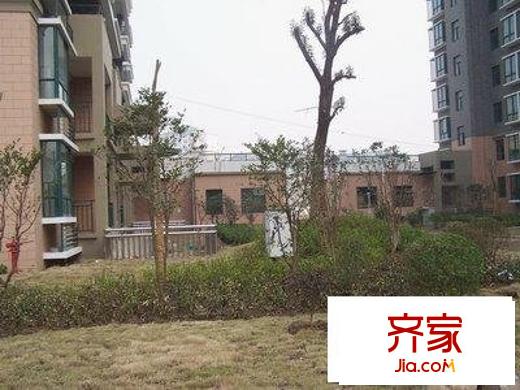 百勝春天