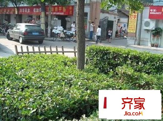 百勝春天外景圖武漢-