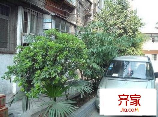 百勝春天外景圖武漢-