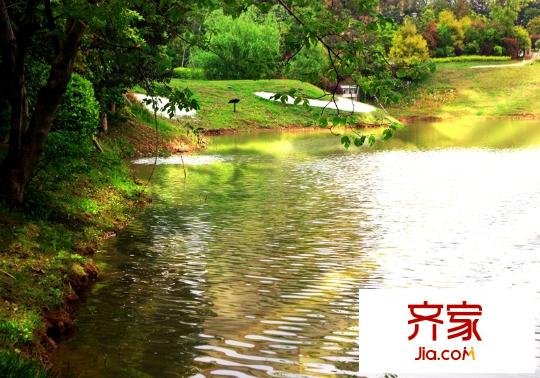 武漢錦繡香江水景（20140514）