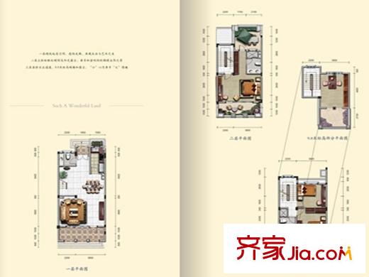碧桂園生態(tài)城別墅T4-N-02聯(lián)體別墅 3室2廳2衛(wèi)1廚