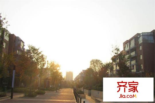 絲寶第三街夕陽下的（2015.3.19）