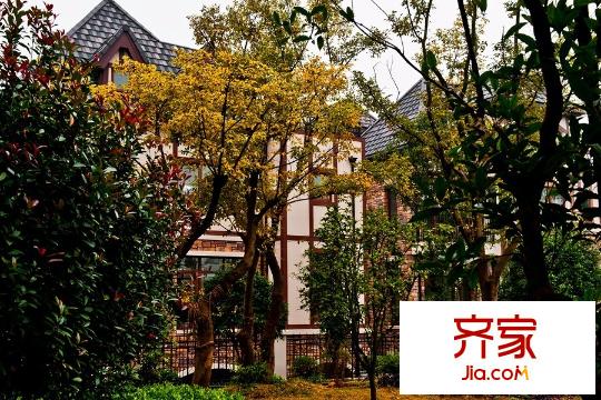 陽光100大湖第別墅英倫別墅外景（20141126）