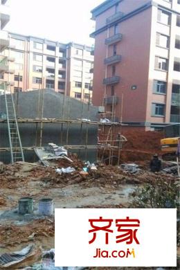 漢飛洋房印象四期綠化工程進(jìn)度圖（2015-03-15）