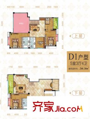 華享雕墅2號(hào)樓D1戶型 5室3廳4衛(wèi)