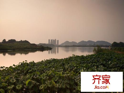 綠地美湖湖面風光（20140723）