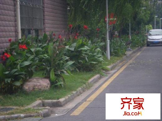 芳卉園外景圖小區(qū)相關(guān)圖_10
