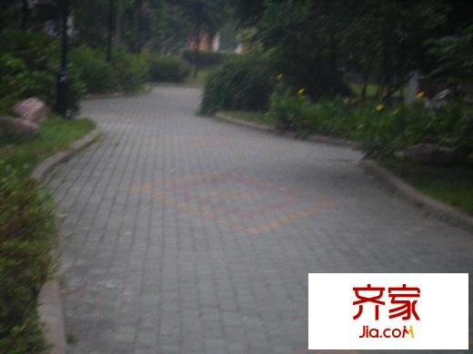 芳卉園外景圖小區(qū)相關(guān)圖_11