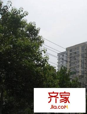 美聯(lián)公園前