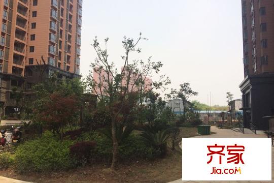 中建東湖明珠小區(qū)綠化（20150413）