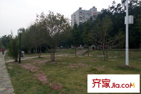 光谷自由城周邊中南財(cái)經(jīng)政法大學(xué)一角