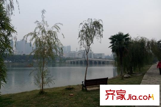 光谷自由城周邊中南財(cái)經(jīng)政法大學(xué)湖景