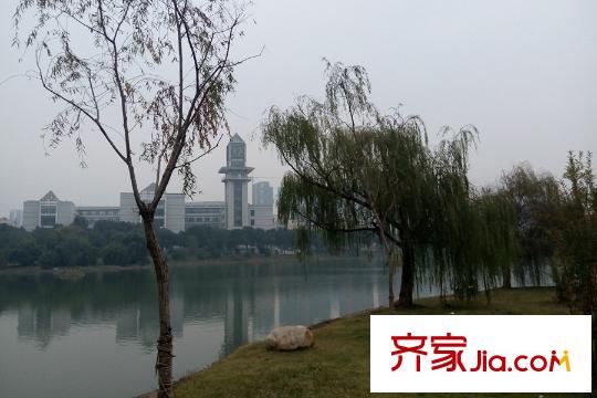 光谷自由城周邊中南財經(jīng)政法大學內(nèi)