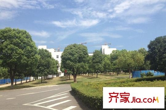 光谷悅城周邊學(xué)校道路