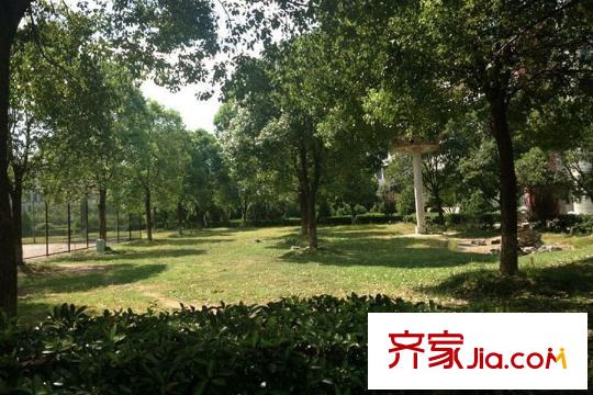 光谷悅城周邊學(xué)校景色
