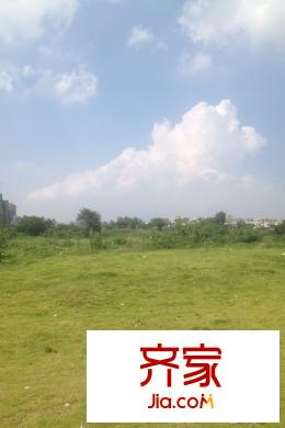 光谷悅城小區(qū)（20150807）