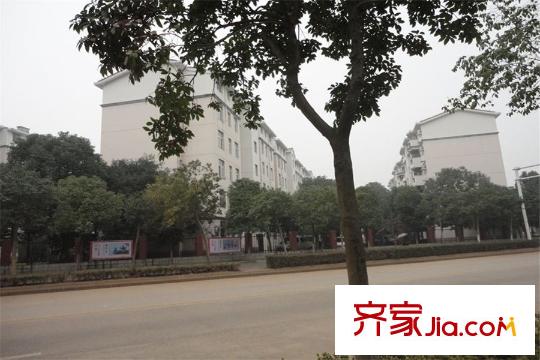 漢陽滿庭春MOMΛ周邊永久社區(qū)