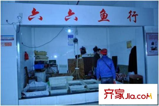 星光國際周邊六六魚行