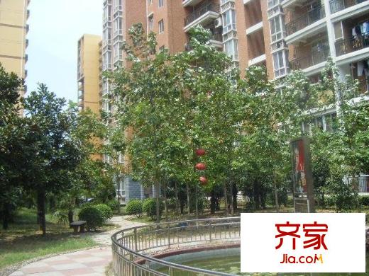 陽城景園外景圖小區(qū)相關圖_11
