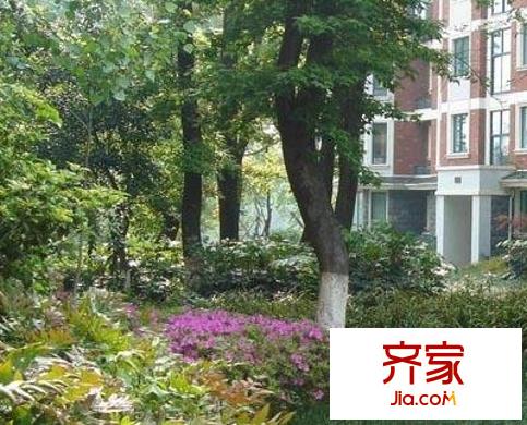 國信新城三期外景圖 