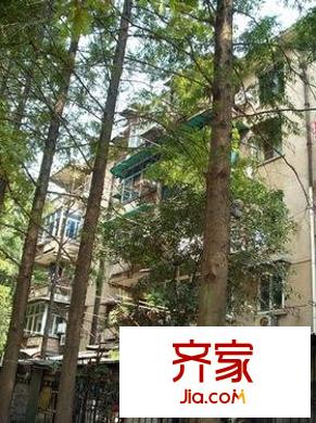 前進四路小區(qū)外景圖前進四路 