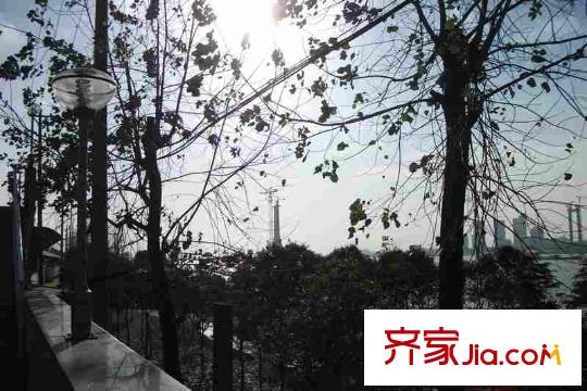 漢飛又一城配套圖周邊江對岸