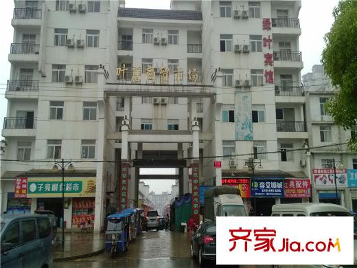 F、綠島周邊菜市場